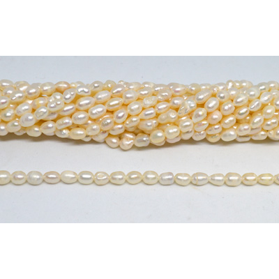 Fresh Water Pearl 5-6x7mm Rice strand 50 beads