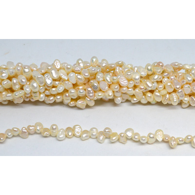 Fresh Water Pearl 5-6x7mm side drill Baroque strand 74 beads