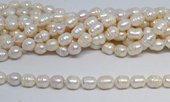 Fresh Water Pearl 10-11x12mm Rice Strand 28 beads-beads incl pearls-Beadthemup