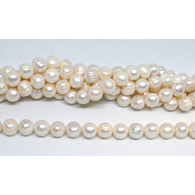 Fresh Water Pearl 11x12mm Potato Strand 30 beads