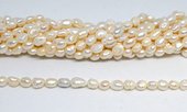Fresh Water Pearl 8-9mm x approx 9-11mm Baroque strand 37 beads-beads incl pearls-Beadthemup