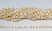 Fresh Water Pearl 4.8-5.2x7mm Rice strand 51 beads-beads incl pearls-Beadthemup