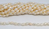 Fresh Water Pearl 6-7x8mm Baroque strand 40 beads-beads incl pearls-Beadthemup