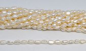 Fresh Water Pearl 5-6x7mm Baroque strand 44-beads incl pearls-Beadthemup