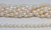 Fresh Water Pearl 7-8x9mm Rice strand 38-beads incl pearls-Beadthemup