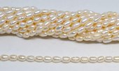 Fresh Water Pearl 4-5x7mm Rice strand 49 beads-beads incl pearls-Beadthemup