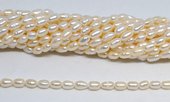 Fresh Water Pearl 4-5x7mm Rice strand 49 beads-beads incl pearls-Beadthemup
