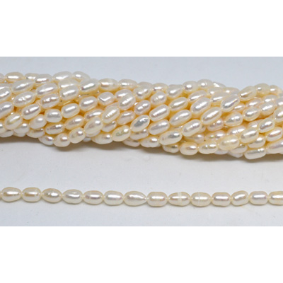 Fresh Water Pearl 4-5x7mm Rice strand 49 beads