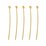 Base Metal gold colour  Brass Headpin 0.5x30mm 2mm ball approx 100 pack