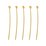 Base Metal gold colour  Brass Headpin 0.5x30mm 2mm ball approx 100 pack