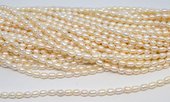 Freshwater Pearl rice 6-7mm strand approx 48 beads-beads incl pearls-Beadthemup