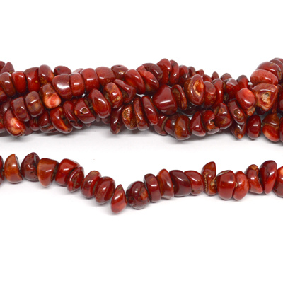 Coral Nugget/slice approx 16x6mm Strand approx 63 beads