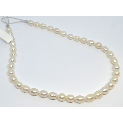  South Sea Pearls 8-10mm Strand approx 39 beads 11 strands to choose from