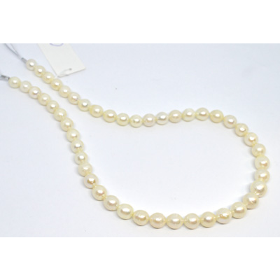  South Sea Pearls 8-10mm Strand approx 40 beads 4 strands to choose from