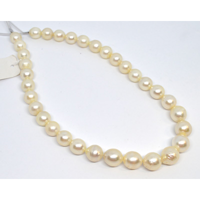  South Sea Pearls 10-13.9mm Strand approx 33-39 beads 3 strands to choose from
