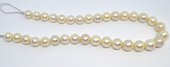South Sea Pearls 12-15mm EACH PEARL-beads incl pearls-Beadthemup