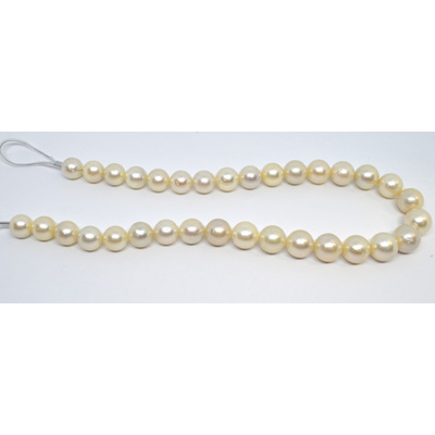 South Sea Pearls 12-15mm EACH PEARL