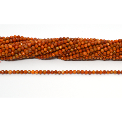 Sponge coral Faceted 4mm round strand 100 beads