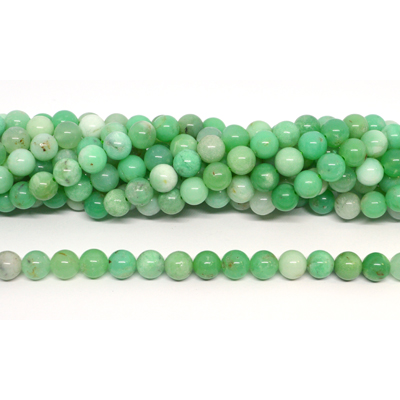 Chrysophase Polished round 8mm strand 50 beads