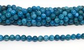 Apatite Polished round 8mm strand 45 beads-beads incl pearls-Beadthemup
