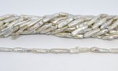 Freshwater Pearl Biwa 20x5mm strand 18 beads-beads incl pearls-Beadthemup