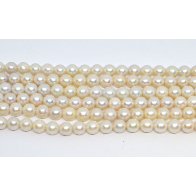 Freshwater Pearl Round 8-9mm strand 48 beads