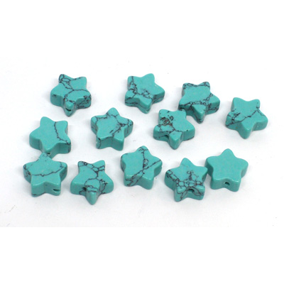 Howlite Star Blue 10mm EACH BEAD