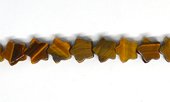Tiger Eye Star 10mm Strand 20 beads-beads incl pearls-Beadthemup