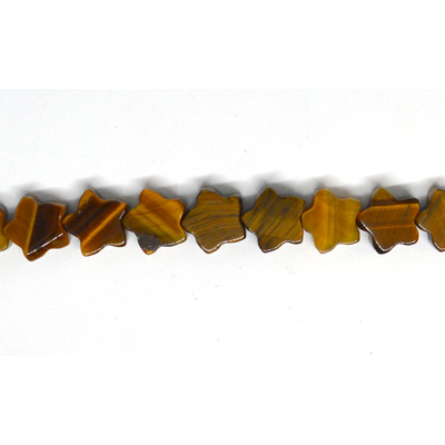 Tiger Eye Star 10mm Strand 20 beads