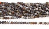 Botswana Agate 6mm Polished round Strand 60 beads-beads incl pearls-Beadthemup