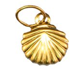 14k Gold Filled Shell Charm 8mm plus ring 2 Pack-findings-Beadthemup