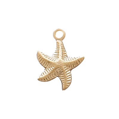 14k Gold Filled Starfish Charm 9.5mm 2 Pack