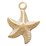 14k Gold Filled Starfish Charm 9.5mm 2 Pack