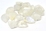 Rainbow Moonstone 12x16 mm shield EACH BEAD