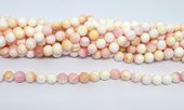 Pink Shell polished round 8mm strand 54 beads-beads incl pearls-Beadthemup