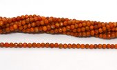 Sponge coral Faceted 3mm round strand 180 beads-beads incl pearls-Beadthemup