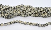 Dalmation Jasper polished round 6mm strand 58 beads-beads incl pearls-Beadthemup