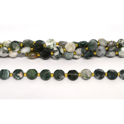 Tree agate Faceted Coin 10mm strand 32 beads