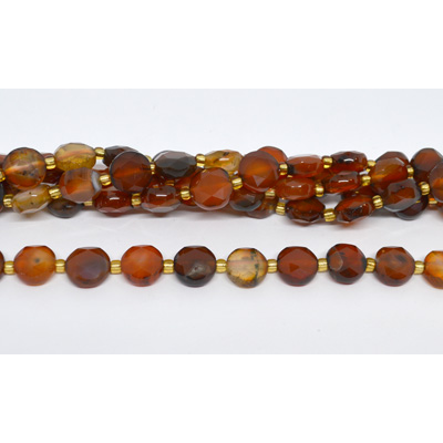 Red Agate Faceted Coin 10mm strand 32 beads