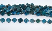 Apatite 11mm 4 leaf Clover 19cm strand 15 beads-beads incl pearls-Beadthemup