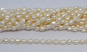 Freshwater Pearl Baroque 7-8mm strand 42 beads-beads incl pearls-Beadthemup