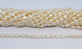 Freshwater Pearl Baroque 5-6mm strand 46 beads-beads incl pearls-Beadthemup