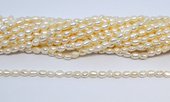 Freshwater Pearl Baroque 4-5mm strand 64 beads-beads incl pearls-Beadthemup