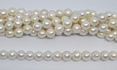 Freshwater Pearl almost round 11-13mm strand 34 beads-beads incl pearls-Beadthemup