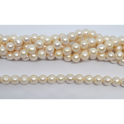 Freshwater Pearl almost round 10-11mm strand 42 beads