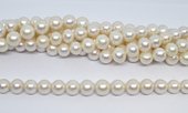 Freshwater Pearl round 11-13mm strand 37 beads-beads incl pearls-Beadthemup