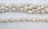 Freshwater Pearl Baroque 11-16mm strand 22 beads-beads incl pearls-Beadthemup