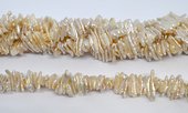 Freshwater Pearl Biwa 12-20mm strand-beads incl pearls-Beadthemup