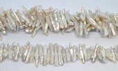 Freshwater Pearl Biwa 25-30x5mm strand-beads incl pearls-Beadthemup
