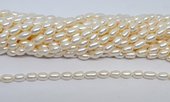 Freshwater Pearl Rice 5-6mm strand 40 beads-beads incl pearls-Beadthemup
